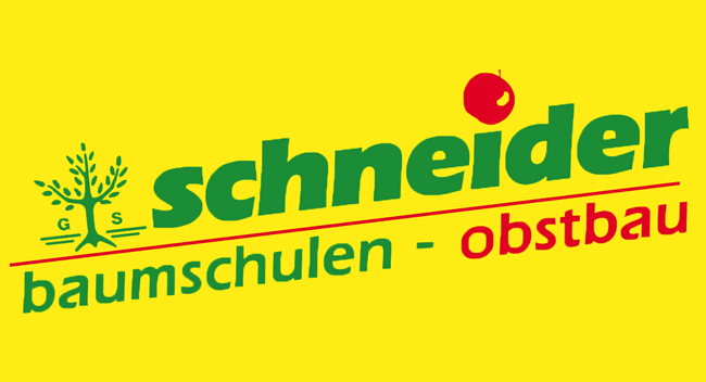 Schneider Logo