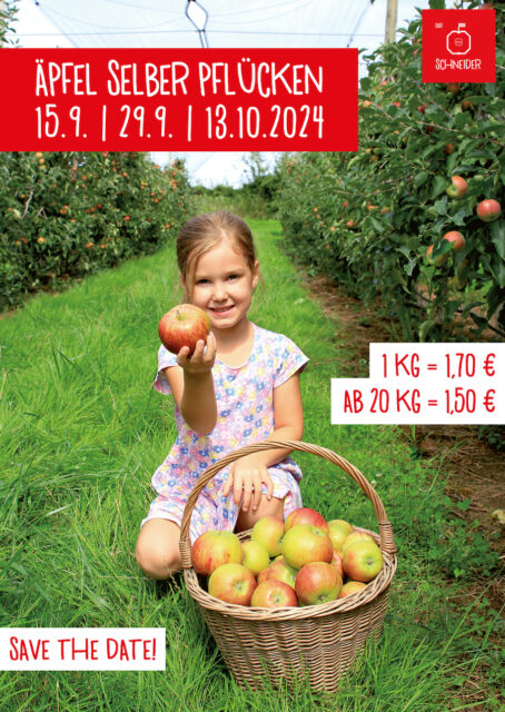Äpfel selber pflücken, Event, der Apfel Schneider, Edingen, Neckarhausen, Apfel